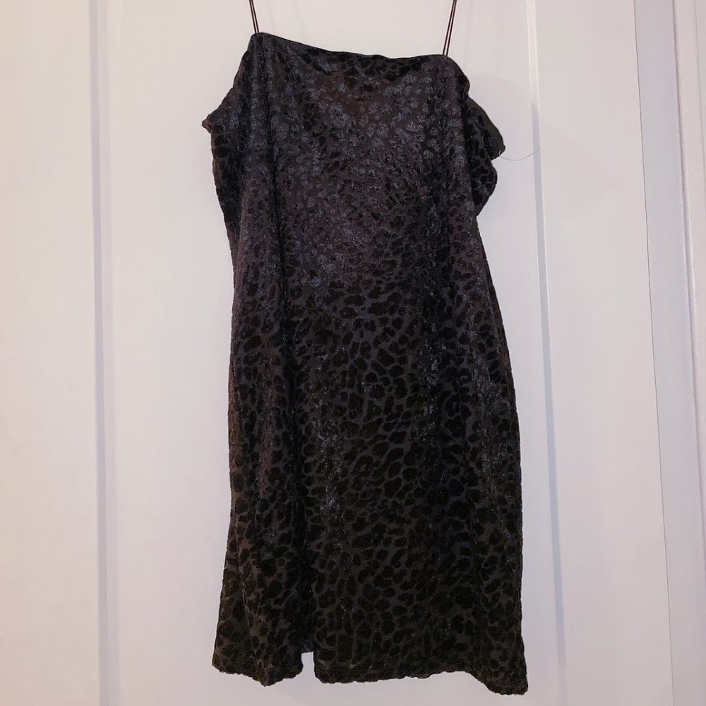 Wild Fable Black Velvet Cheetah Dress